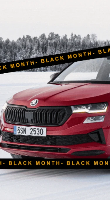 <strong>¿Ya has visto nuestras ofertas del black month?</strong> Ahora consigue tu Skoda Karoq a un precio inigualable.
                                <span class="d-none d-lg-block">¡Y con todo incluido!</span>
                                <span class="from d-block">Desde 373€/mes </br><span class="IVA">(con IVA incluido)</span>